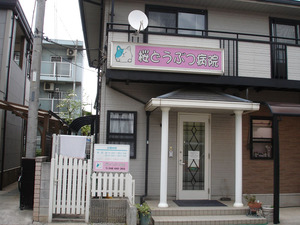 DSC07636