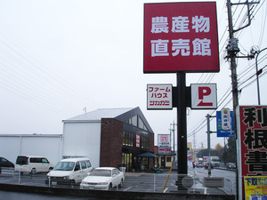 DSC04105