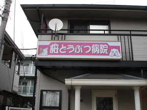 DSC07908