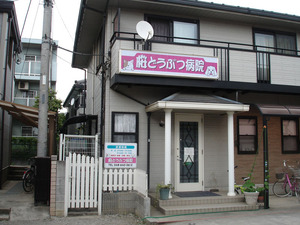 DSC07907