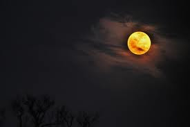 58moon
