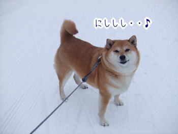 240202-14にししっ