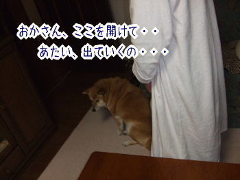 240205-9おかさんあたいでていくの