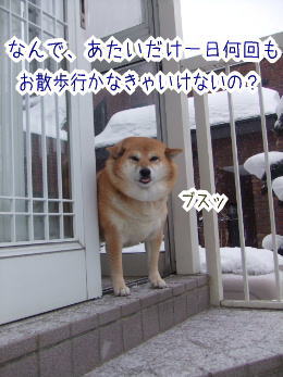 240209-3なんであたいだけ何回も