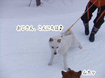 240202-5おばさん、こんにちは