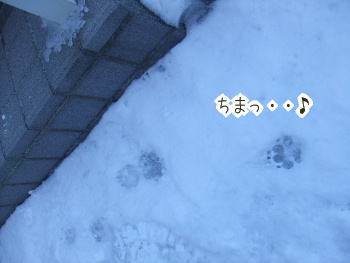 240205-2梅