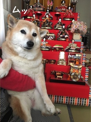 C738E058-CBE0-4FE4-B9B2-7D1C76E66D56