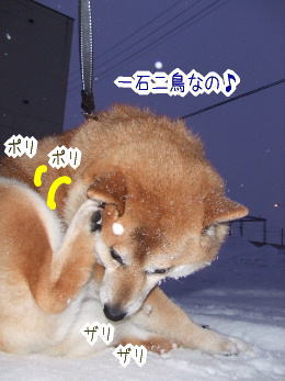 240210-8ぽりぽり