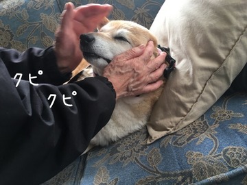 D50BC2CE-1389-4F1B-9853-418827B3B4B9