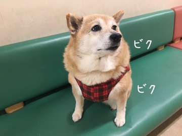 3B5D4ECA-B5CA-44C0-9A18-13AD299CF0E8