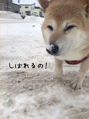 1128447E-8895-48C8-9D49-0A224D18C4D8