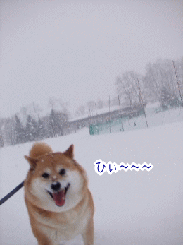 240207-7ひ〜