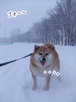 240207-1あっは〜