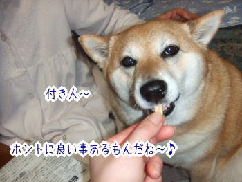240205-15いいことあったの
