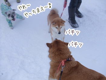 240202-4やれ〜