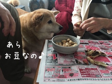 450D1292-771F-4889-B42D-37995A83A35A