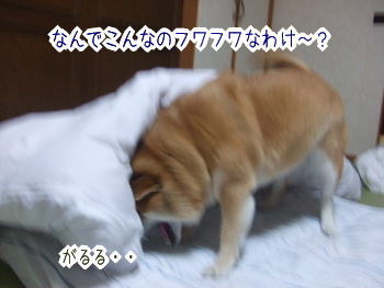 240401-7なんでこんなに