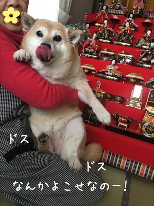 27DECD38-FDA4-40C2-AAB5-7860C069E105