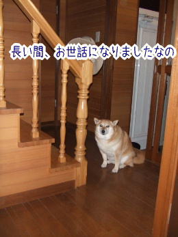 240205-10世話になったの
