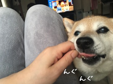 022A0FDD-292A-44B8-AB14-FC989EA59D47