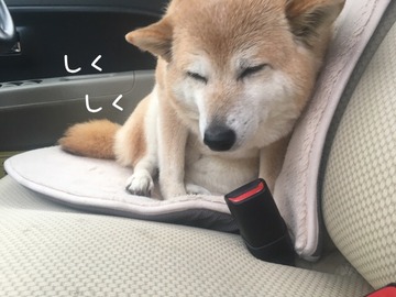 ED37F91D-3F1F-4A14-95D0-74AC866A78AA