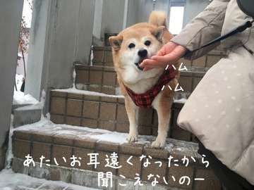 C3E1BADB-66DD-4859-B4E4-2B02F6F3D8B4