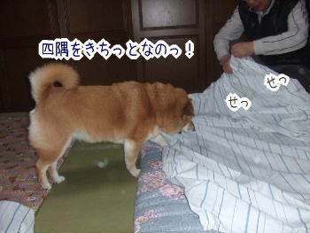 240401-1四隅をきちっとなの