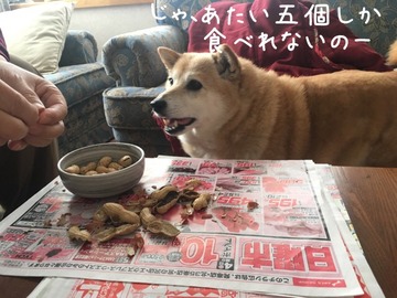 8D85A3AB-DFEE-4F27-903B-023424C95492