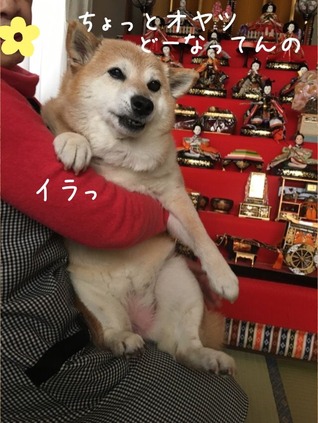 98FA4D38-1D57-481F-9A4A-CA0B5820304F