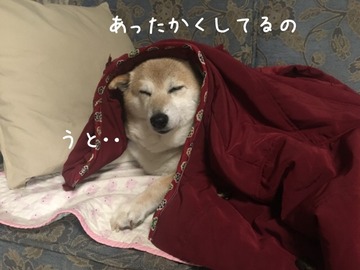 B8719724-071E-475D-B642-9424D0331A79