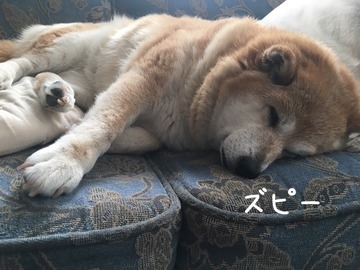 A9B1CC77-ADD0-437F-A63B-7018DFAA8A16