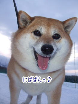 240202-1にぱぱんっ