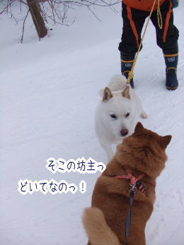 240202-6そこの坊主