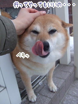 240209-5いってやってもいいの