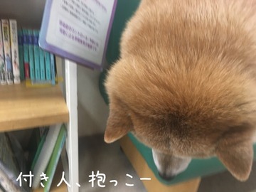 AE4BD298-D4F9-418B-BC40-E4D2C92728EA