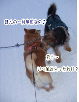 240202-13君さ〜