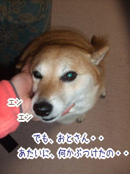 240205-11あたいぶつけたの
