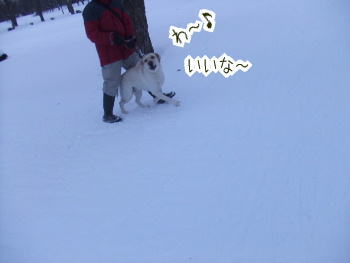240202-17いいな〜