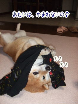 240209-11かみかみ