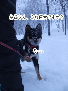 240207-12お母さん