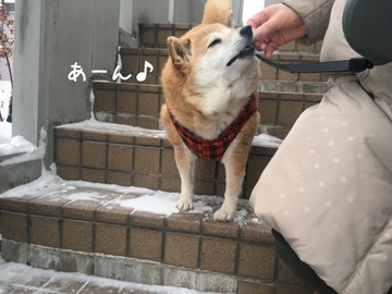 069E9843-352F-48B1-AEF1-A0BBAA593076