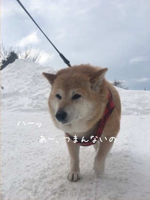 AC4074D3-61F5-4984-BED4-BAC861D884AE