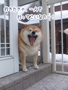 240209-4いきたきゃ