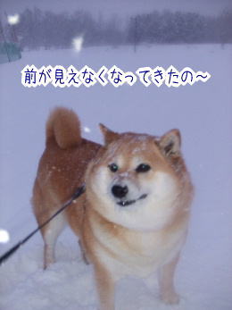 240210-9前が見えないの