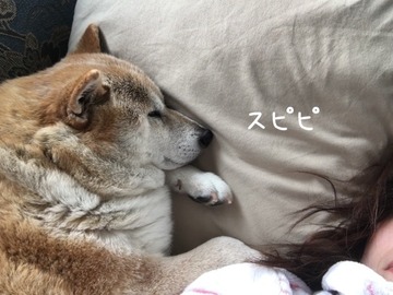 8D828804-323B-4A62-932A-385E9F75AF06