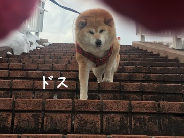 551751FA-B339-473F-BEB7-6B2AEA59A61A