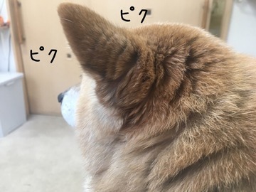 BF776220-6352-462D-98A9-C542CF76F142