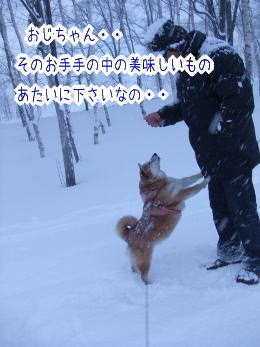 240207-13くださいなの