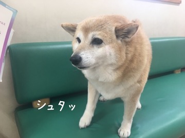 0E9D1D95-3B21-40C7-8874-7724E9A26450