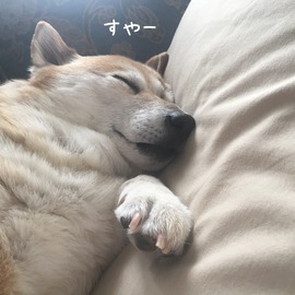 7E32E044-16E4-491C-9BBB-7066BE463CF6